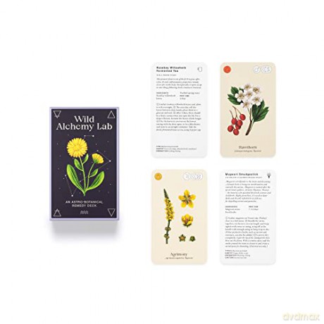Wild Alchemy Lab: An Astro-botanical Remedy Deck - Jemma Foster [KSIĄŻKA]