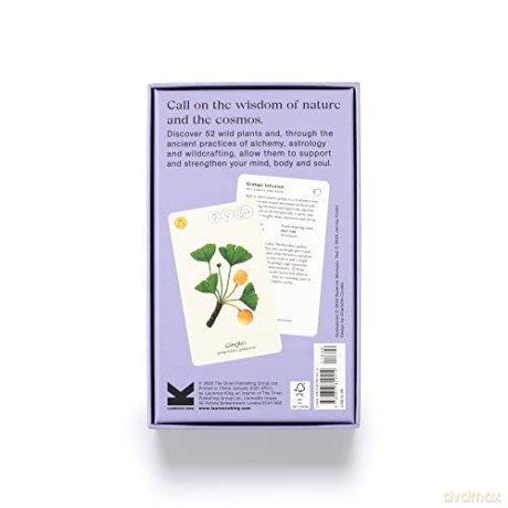 Wild Alchemy Lab: An Astro-botanical Remedy Deck - Jemma Foster [KSIĄŻKA]