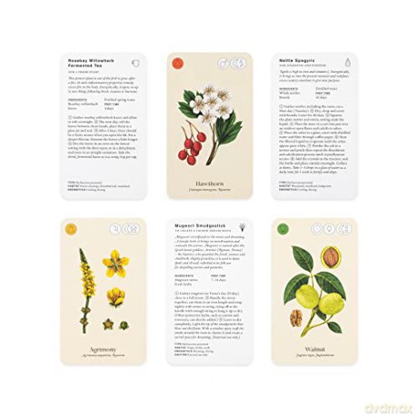 Wild Alchemy Lab: An Astro-botanical Remedy Deck - Jemma Foster [KSIĄŻKA]