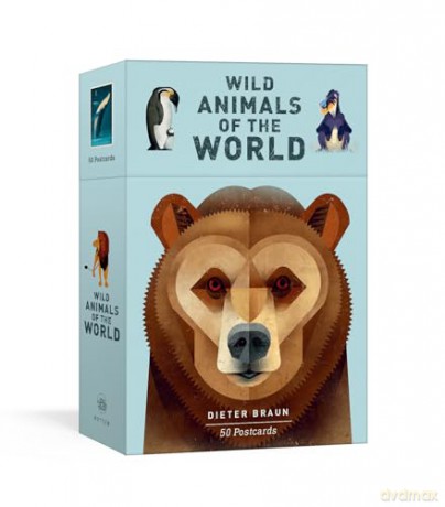 Wild Animals of the World: 50 Postcards - Dieter Braun [KSIĄŻKA]