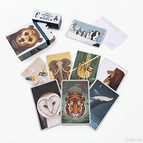 Wild Animals of the World: 50 Postcards - Dieter Braun [KSIĄŻKA]