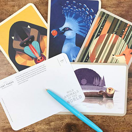 Wild Animals of the World: 50 Postcards - Dieter Braun [KSIĄŻKA]