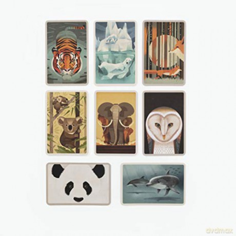 Wild Animals of the World: 50 Postcards - Dieter Braun [KSIĄŻKA]