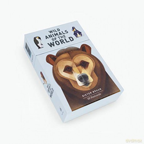 Wild Animals of the World: 50 Postcards - Dieter Braun [KSIĄŻKA]