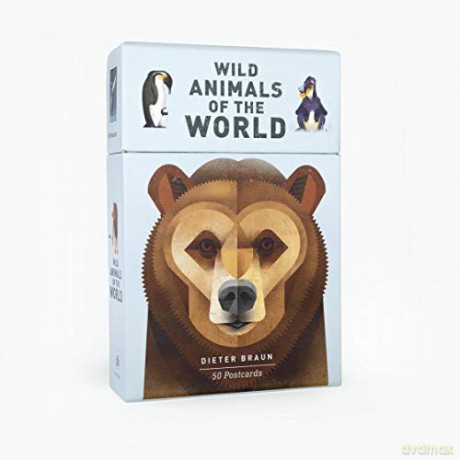 Wild Animals of the World: 50 Postcards - Dieter Braun [KSIĄŻKA]