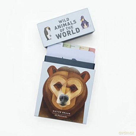 Wild Animals of the World: 50 Postcards - Dieter Braun [KSIĄŻKA]