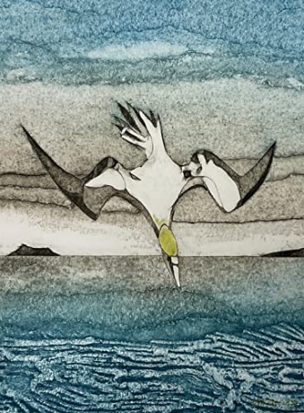 Wild Birds Pocket Notebook: Gannet - Sarah Ross-Thompson [KALENDARZ]