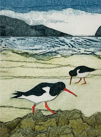 Wild Birds Pocket Notebook: Oystercatcher - Sarah Ross-Thompson [KALENDARZ]