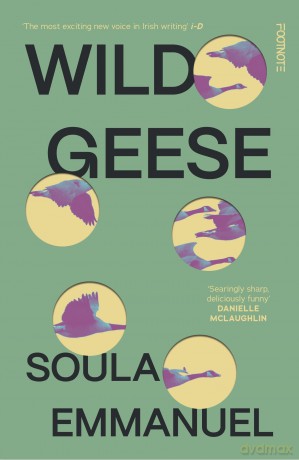 Wild Geese: 'The most exciting new voice in Irish writing' i-D - Soula Emmanuel [KSIĄŻKA]