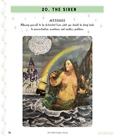 Wild Goddess Oracle Deck and Guidebook: A 52-Card Deck and Guidebook, Divination and Ritual for Living an Empowered Life - Monte Farber [KSIĄŻKA]
