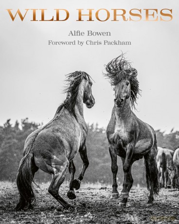 Wild Horses: Alfie Bowen - Alfie Bowen [KSIĄŻKA]