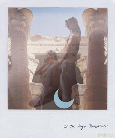 Wild Lands Tarot: Roam the Lands and Ancient Wisdom Will Be Revealed - 78 cards and 96pp guidebook - Leah Shoman [KSIĄŻKA]