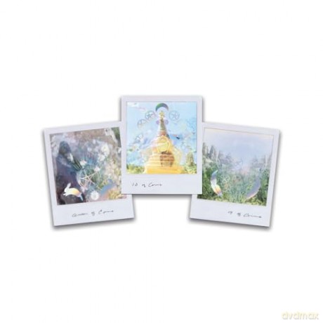 Wild Lands Tarot: Roam the Lands and Ancient Wisdom Will Be Revealed - 78 cards and 96pp guidebook - Leah Shoman [KSIĄŻKA]