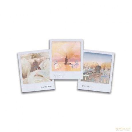 Wild Lands Tarot: Roam the Lands and Ancient Wisdom Will Be Revealed - 78 cards and 96pp guidebook - Leah Shoman [KSIĄŻKA]