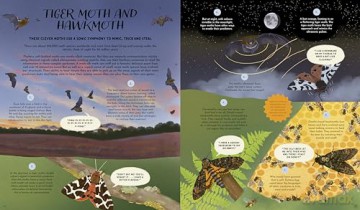 Wild Languages of Mother Nature: 48 Stories of How Nature Communicates: 48 Stories of How Nature Communicates (Nature's Storybook) - Gabby Dawnay [KSIĄŻKA]