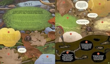 Wild Languages of Mother Nature: 48 Stories of How Nature Communicates: 48 Stories of How Nature Communicates (Nature's Storybook) - Gabby Dawnay [KSIĄŻKA]