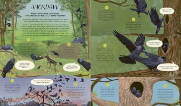 Wild Languages of Mother Nature: 48 Stories of How Nature Communicates: 48 Stories of How Nature Communicates (Nature's Storybook) - Gabby Dawnay [KSIĄŻKA]