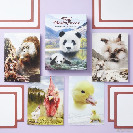 Wild Masterpieces Notecards - Evan Douglas [KSIĄŻKA]