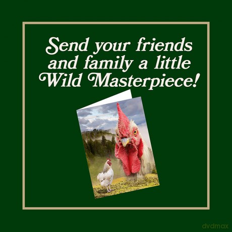 Wild Masterpieces Notecards - Evan Douglas [KSIĄŻKA]