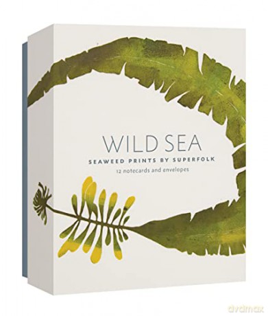 Wild Sea Notecards - Superfolk [KALENDARZ]