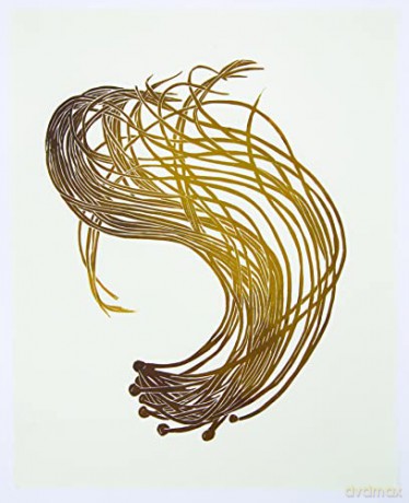 Wild Sea Notecards - Superfolk [KALENDARZ]
