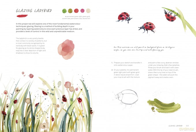 Wild Watercolour: Connect to the natural world through the art of painting - Inga Buividavice [KSIĄŻKA]
