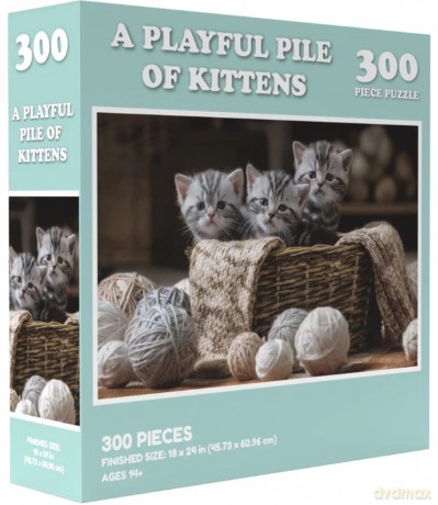 Wilder Games A Playful Pile of Kittens Prank Puzzle - 300 Piece Jigsaw Puzzle for Adults [PUZZLE]