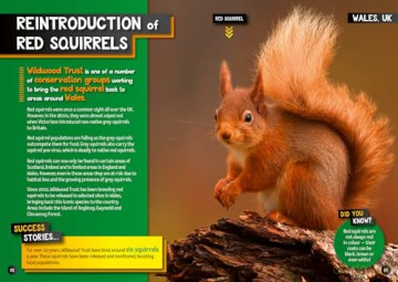 Wilder Planet: 50 inspiring rewilding projects (National Geographic Kids) [KSIĄŻKA]