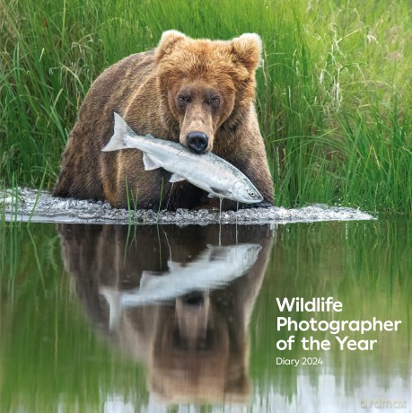 Wildlife Photographer of the Year: Desk Diary 2024 (Wildlife Photographer of the Year Diaries) - The Natural History Museum [KSIĄŻKA]