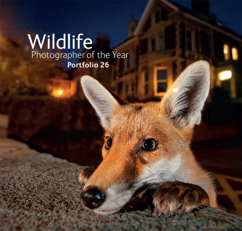 Wildlife Photographer of the Year: Portfolio 26: Volume 26 - Rosamund Kidman Cox [KSIĄŻKA]