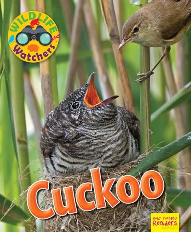 Wildlife Watchers: Cuckoo 2017 (Ruby Tuesday Readers) - Ruth Owen [KSIĄŻKA]