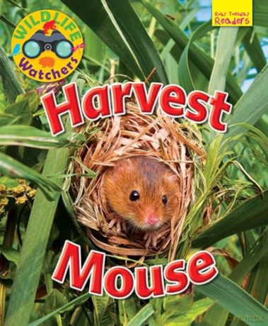 Wildlife Watchers: Harvest Mouse 2017 (Ruby Tuesday Readers) - Ruth Owen [KSIĄŻKA]