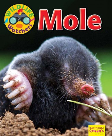 Wildlife Watchers: Mole 2017 (Ruby Tuesday Readers) - Ruth Owen [KSIĄŻKA]