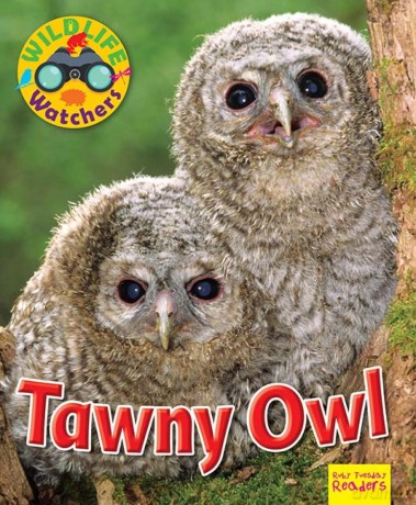 Wildlife Watchers: Tawny Owl 2017 (Ruby Tuesday Readers) - Ruth Owen [KSIĄŻKA]