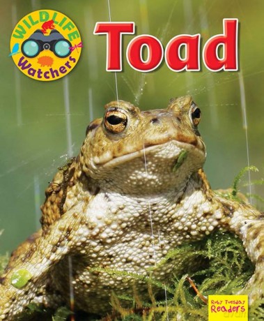 Wildlife Watchers: Toad 2017 (Ruby Tuesday Readers) - Ruth Owen [KSIĄŻKA]