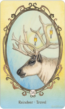 Wing, Hoof and Paw: An Animal Companion Oracle - Angi Sullins [KSIĄŻKA]
