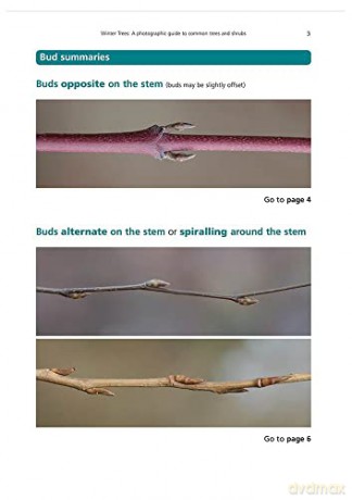 Winter Trees: a Photographic Guide to Common Trees and Shrubs (AIDGAP) - Dominic Price [KSIĄŻKA]