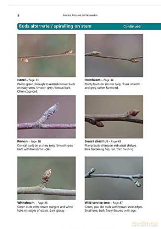 Winter Trees: a Photographic Guide to Common Trees and Shrubs (AIDGAP) - Dominic Price [KSIĄŻKA]