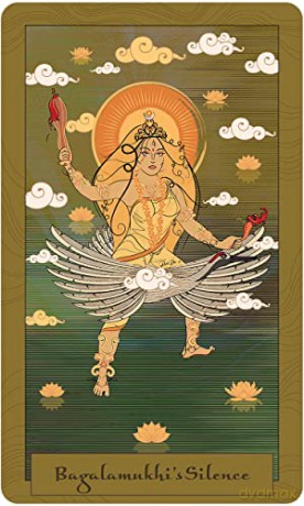 Wisdom from the Epics of Hind - Pankhuri Agarwal [KSIĄŻKA]