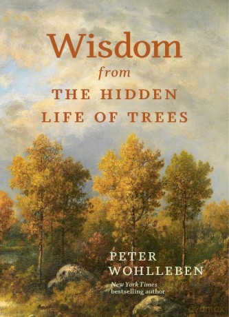 Wisdom From The Hidden Life of Trees (Inspired by the International Bestseller) - Peter Wohlleben [KSIĄŻKA]