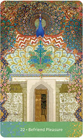 Wisdom of Hafiz - Daniel Ladinsky [KSIĄŻKA]