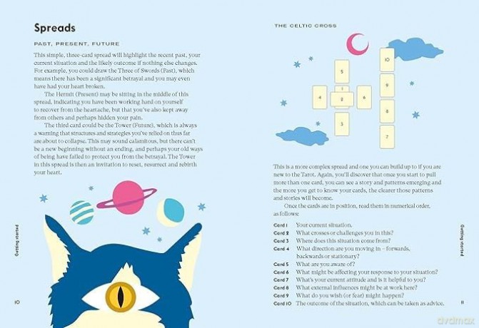 Wise Cat Tarot: Using the Wisdom of the Cat to Enhance Your Tarot Reading - Stella Andromeda [KSIĄŻKA]