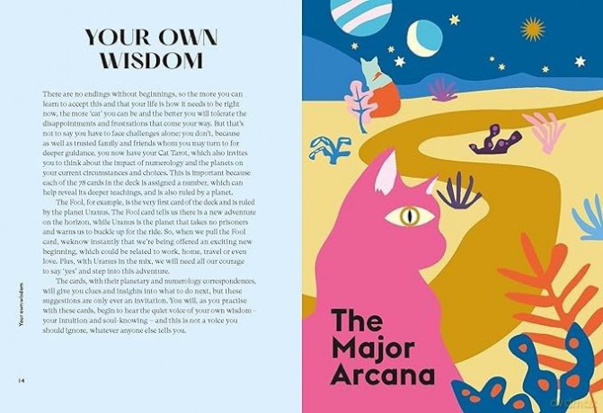 Wise Cat Tarot: Using the Wisdom of the Cat to Enhance Your Tarot Reading - Stella Andromeda [KSIĄŻKA]