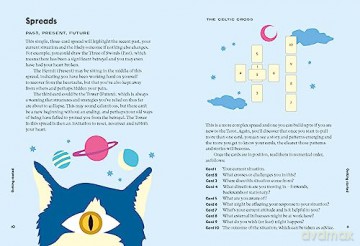 Wise Cat Tarot: Using the Wisdom of the Cat to Enhance Your Tarot Reading - Stella Andromeda [KSIĄŻKA]