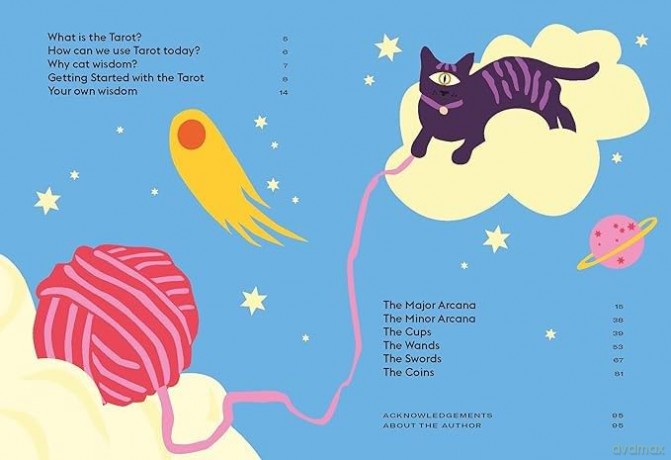 Wise Cat Tarot: Using the Wisdom of the Cat to Enhance Your Tarot Reading - Stella Andromeda [KSIĄŻKA]