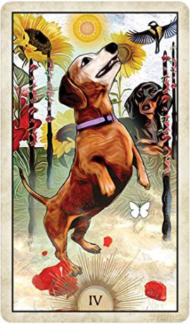 Wise Dog Tarot - M.J Cullinane [KSIĄŻKA]