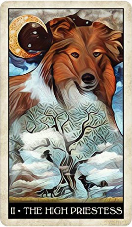 Wise Dog Tarot - M.J Cullinane [KSIĄŻKA]