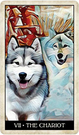 Wise Dog Tarot - M.J Cullinane [KSIĄŻKA]