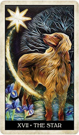 Wise Dog Tarot - M.J Cullinane [KSIĄŻKA]