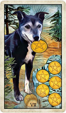 Wise Dog Tarot - M.J Cullinane [KSIĄŻKA]